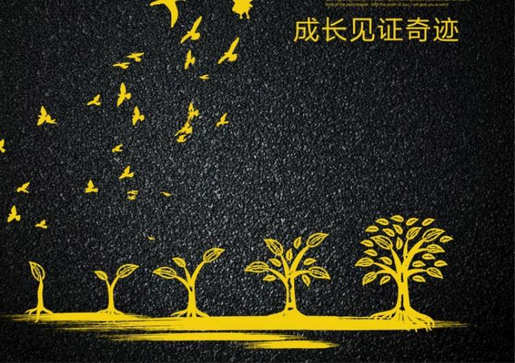 成長(zhǎng)歷程